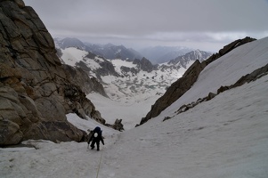 D300 29709